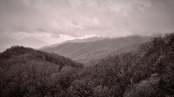 Fog in Great Smoky Mountains National Park, NC