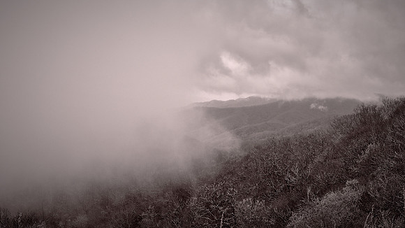 Fog in Great Smoky Mountains National Park, NC