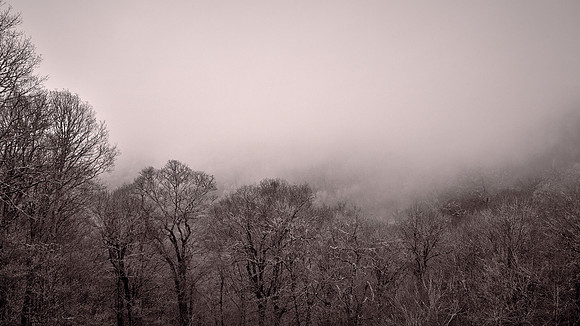 Fog in Great Smoky Mountains National Park, NC