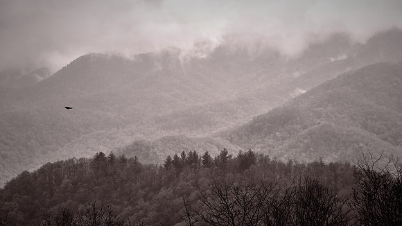 Fog and cloud on the Blue Ridge Parkway, NC