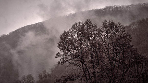 Fog and cloud on the Blue Ridge Parkway, NC