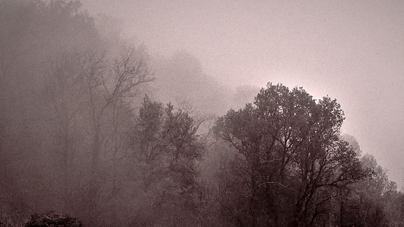 Rain with fog and cloud on the Blue Ridge Parkway, NC
