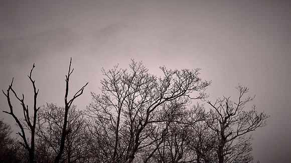 Fog and cloud on the Blue Ridge Parkway, NC