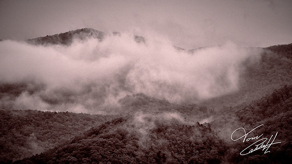 Fog and cloud on the Blue Ridge Parkway, NC