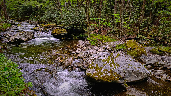 Raven Fork, NC