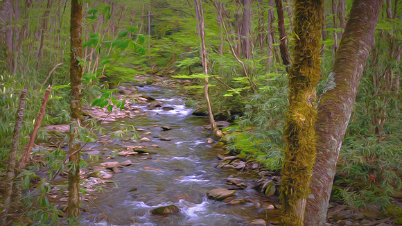Raven Fork, NC