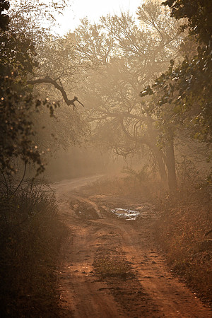 Ranthambhore Tiger Reserve