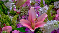 2021 May - Davidson Farmers' Market