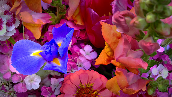 Davidson Farmers' Market