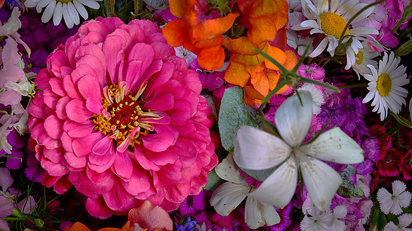 Davidson Farmers' Market