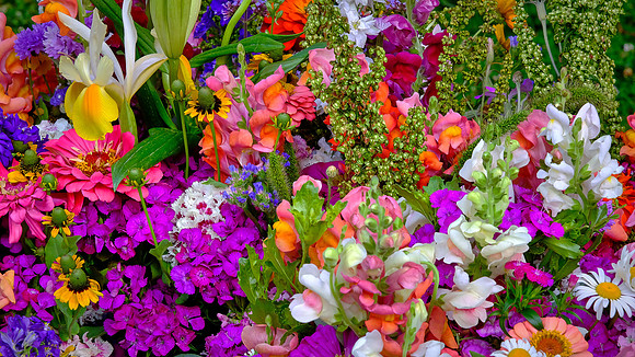 Davidson Farmers' Market