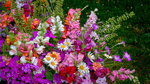 Davidson Farmers' Market