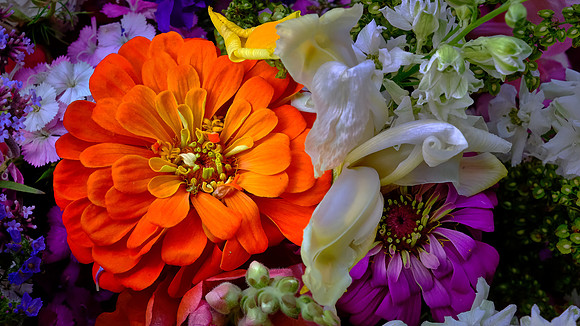 Davidson Farmers' Market