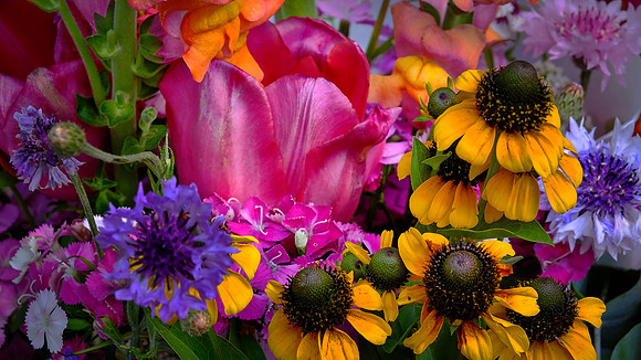Davidson Farmers' Market