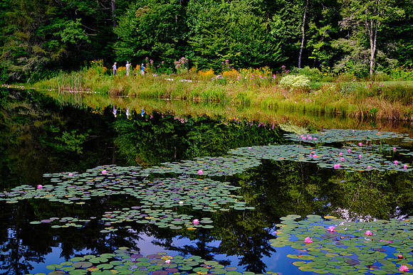 Ravenel Lake, Highlands Biological Station, Highlands, NC
