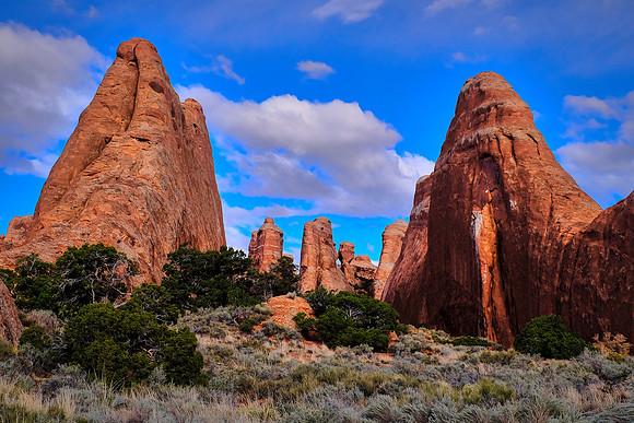 Devils Garden, Arches National Park, UT