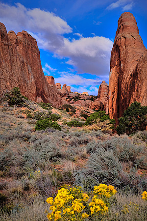 Devils Garden, Arches National Park, UT