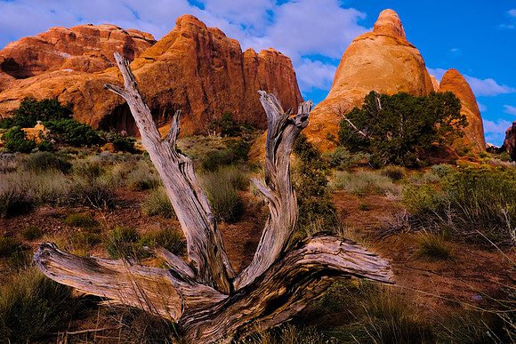 Devils Garden, Arches National Park, UT