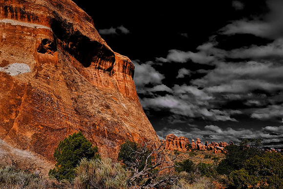 Devils Garden, Arches National Park, UT