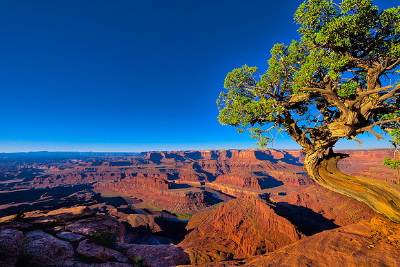 Sunrise at Dead Horse Point, Dead Horse Point State Park, UT