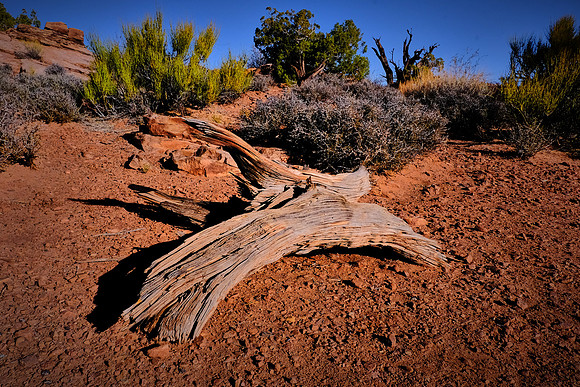 Dead Horse Point State Park, UT