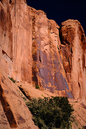 Petroglyphs on Potash Road