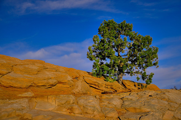 Sunrise at Mesa Arch, Island in the Sky, Canyonlands National Park, UT