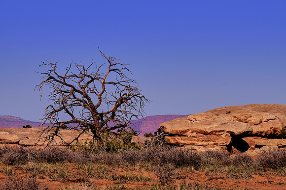 Needles District, Canyonlands National Park, UT