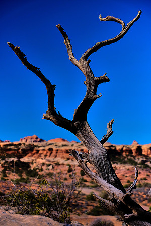 Needles District, Canyonlands National Park, UT