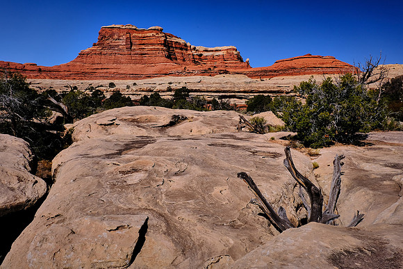 Needles District, Canyonlands National Park, UT
