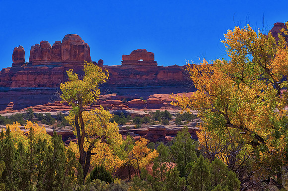 Wooden Shoe Arch, Needles District, Canyonlands National Park, UT