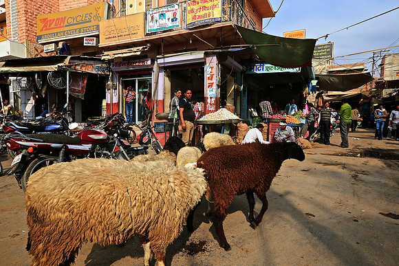 Downtown Nagaur
