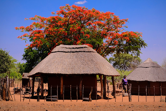 Monde community village on the Zambezi River, Zimbabwe