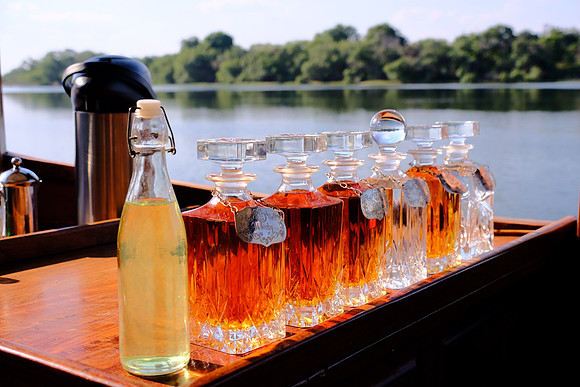 Afternoon Zambezi River tour.