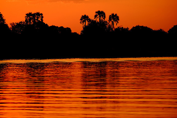 Sunset on the Zambezi River.