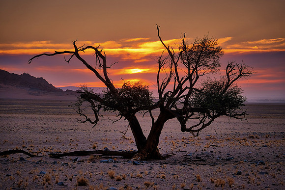 Sunset on the Sossusvlei, Namib Desert, Namibia