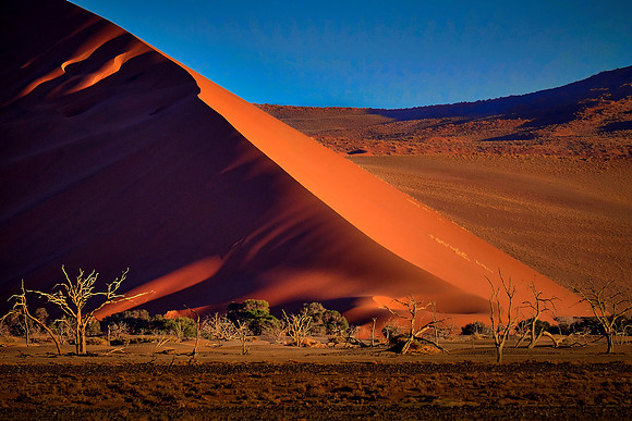 Dunes in Sossusvlei, Namib Desert, Namibia