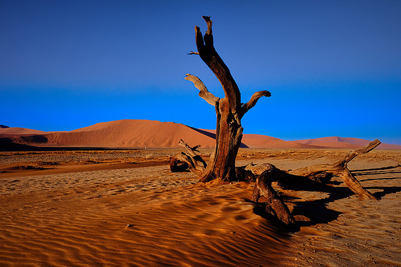 Dunes in Sossusvlei, Namib Desert, Namibia