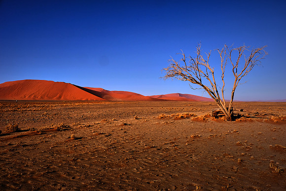 Dunes in Sossusvlei, Namib Desert, Namibia