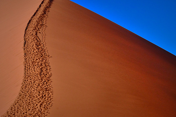 Dune 45 in Sossusvlei, Namib Desert, Namibia