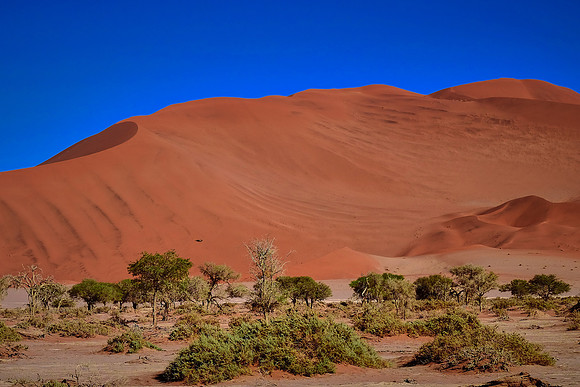 Dunes in Sossusvlei, Namib Desert, Namibia