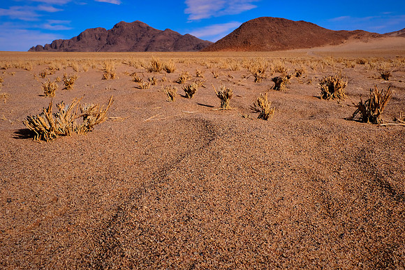 Sunrise over the  Sossusvlei, Namib Desert, Namibia
