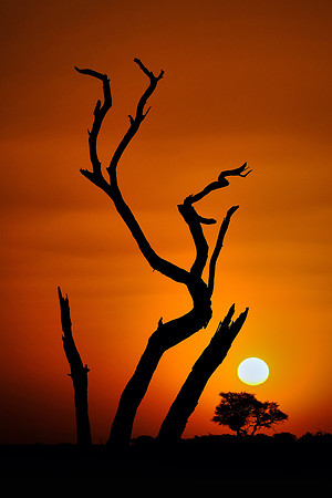 Sunset over the  Sossusvlei, Namib Desert, Namibia