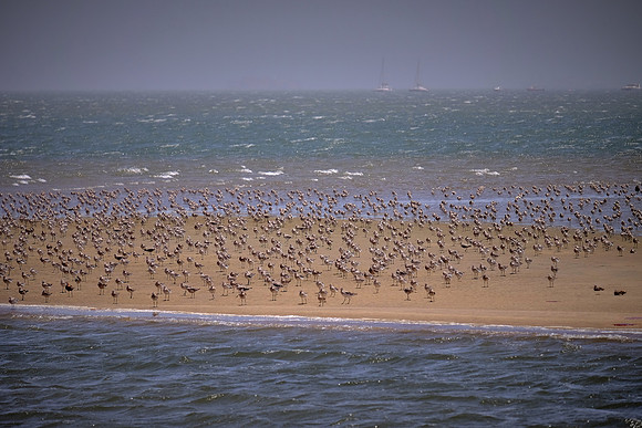 Walvis Bay, Atlantic Coast, Namibia