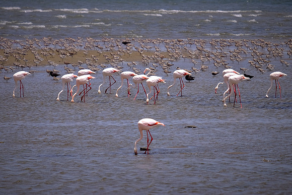 Walvis Bay, Atlantic Coast, Namibia