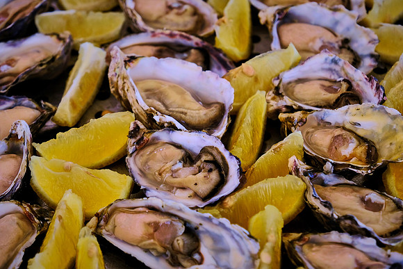 Oysters on Walvis Bay, Atlantic Coast, Namibia