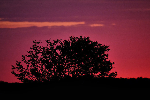 Sunset,  Damaraland, northwest Namibia