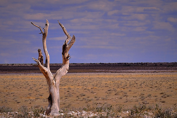 Etosha National Park, northwest Namibia