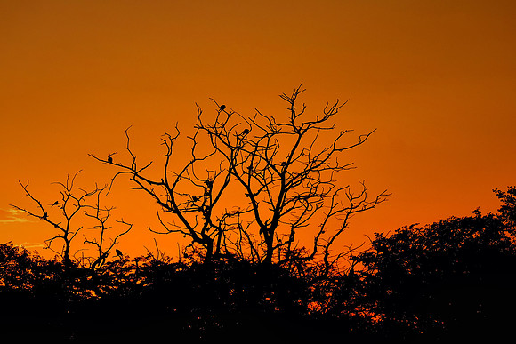 Sunset over Andersonn Camp — Etosha National Park, northwest Namibia