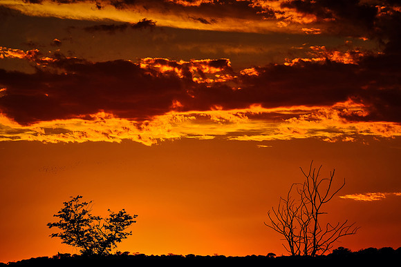 Sunset over  Etosha National Park, northwest Namibia